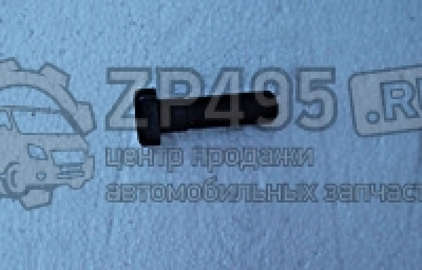 : 6501404 0014649     /   31105 . (, ,,,,, , NEXT, NEXT) novosibirsk.zp495.ru